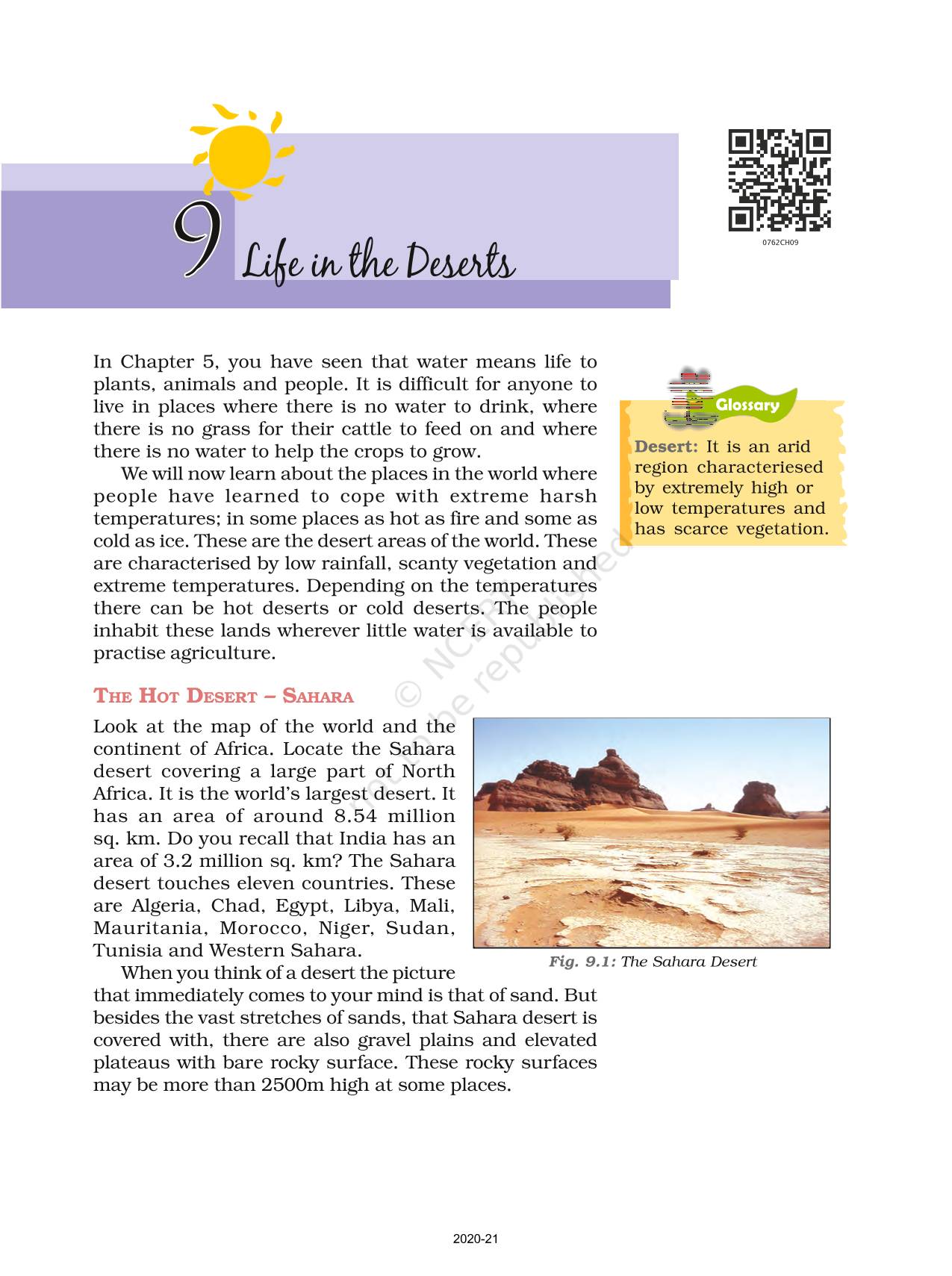 life in desert essay